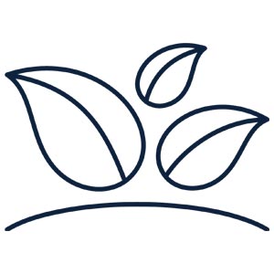 Decorative icon