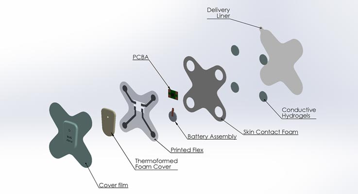 Key-Wearables-Terms