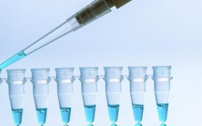 PCR Testing