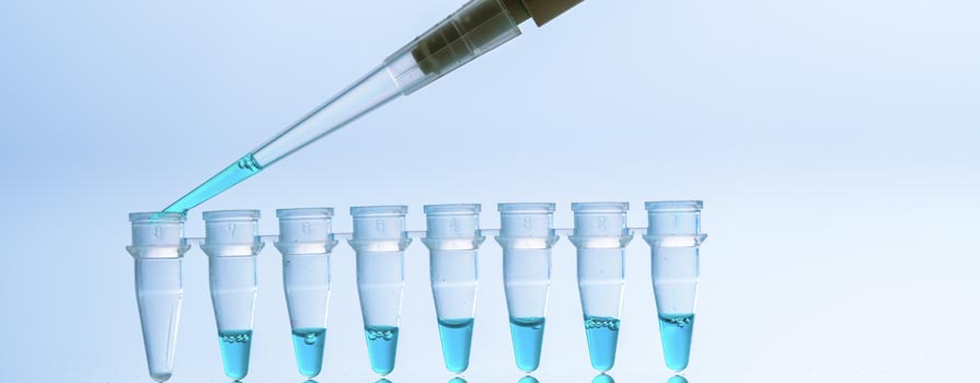 PCR Testing