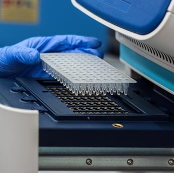PCR testing